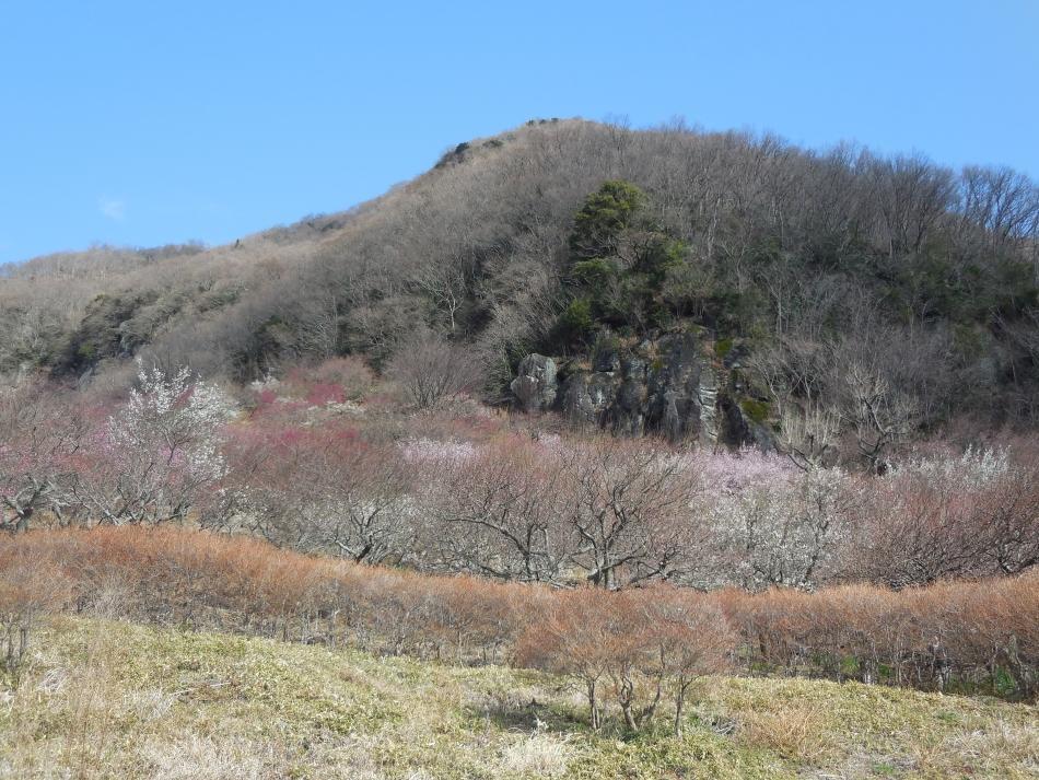 Yugawara Onsen Ryokan Uohan Bagian luar foto