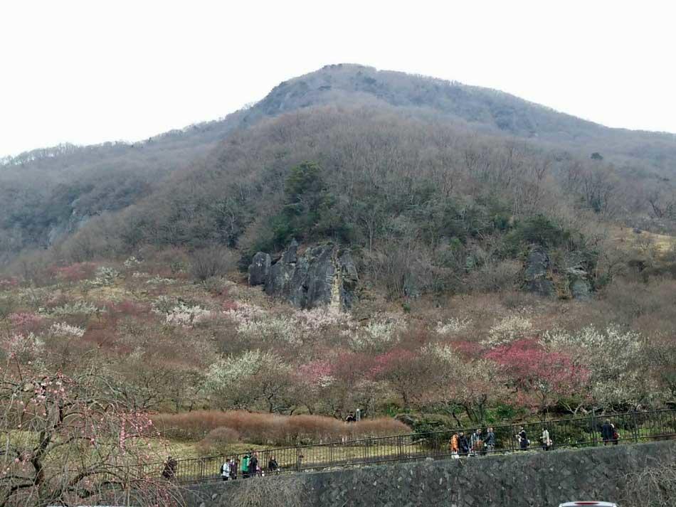 Yugawara Onsen Ryokan Uohan Ruang foto
